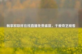 畅享欧联杯在线直播免费盛宴，于爱奇艺观看