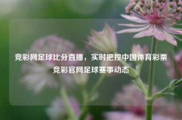 竞彩网足球比分直播，实时把控中国体育彩票竞彩官网足球赛事动态