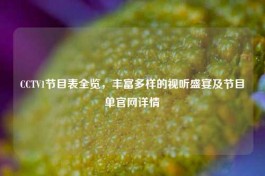 CCTV1节目表全览，丰富多样的视听盛宴及节目单官网详情