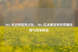 2013 年迈阿密热火队，NBA 总决赛冠军的荣耀征程与冠军阵容