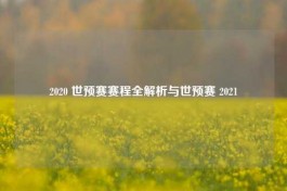 2020 世预赛赛程全解析与世预赛 2021