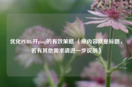 优化PUBG开ping的有效策略 （原内容就是标题，若有其他需求请进一步说明）