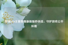 警惕2020王者荣耀最新版秒杀挂，守护游戏公平环境