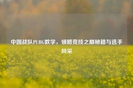 中国战队PUBG教学，领略竞技之巅秘籍与选手风采
