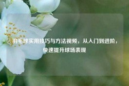 羽毛球实用技巧与     视频，从入门到进阶，快速提升球场表现