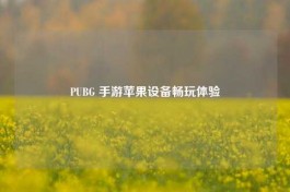 PUBG 手游苹果设备畅玩体验