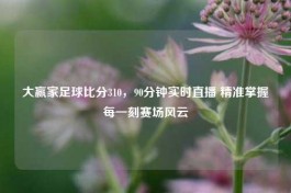 大赢家足球比分310，90分钟实时直播 精准掌握每一刻赛场风云