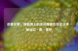 洛塞尔索，绿茵场上的灵动舞者吉瓦尼尔多·维埃拉·德·索萨