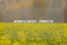 篮球潜力之星马文·巴格利三世