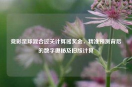 竞彩足球混合过关计算器奖金，精准预测背后的数字奥秘及旧版计算