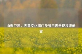 山东卫视，齐鲁文化窗口及节目表呈现视听盛宴