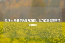 足球 14 场胜平负比分直播，全方位直击赛事精彩瞬间