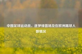 中国足球运动员，逐梦绿茵场及在欧洲踢球人数情况