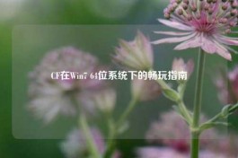 CF在Win7 64位系统下的畅玩指南