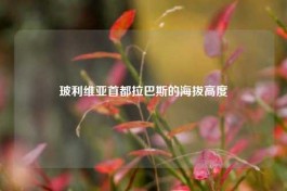 玻利维亚首都拉巴斯的海拔高度