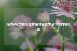 探索WWE美国职业摔角精彩世界及中文网址指南