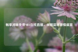 畅享河豚免费NBA在线直播，领略篮球     盛宴