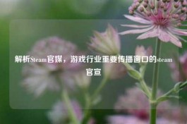 解析Steam官媒，游戏行业重要传播窗口的steam官宣