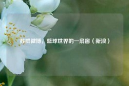 苏群微博，篮球世界的一扇窗（新浪）