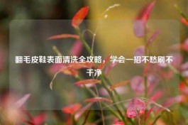 翻毛皮鞋表面清洗全攻略，学会一招不愁刷不干净