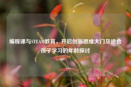编程课与STEAM教育，开启创新思维大门及适合孩子学习的年龄探讨