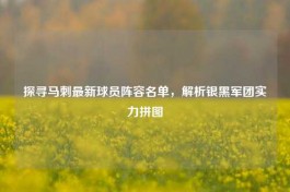 探寻马刺最新球员阵容名单，解析银黑军团实力拼图