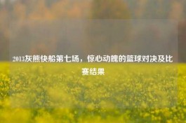 2013灰熊快船第七场，惊心动魄的篮球对决及比赛结果