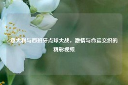 意大利与西班牙点球大战，     与命运交织的精彩视频
