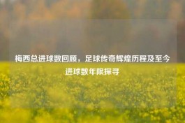 梅西总进球数回顾，足球传奇辉煌历程及至今进球数年限探寻