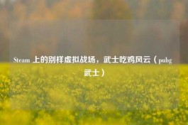 Steam 上的别样虚拟战场，武士吃鸡风云（pubg 武士）