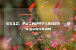 搜狐体育，足球国际视野下的精彩呈现——搜狐国际足球新闻网