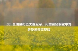 2021 全明星扣篮大赛冠军，闪耀赛场的空中舞者及视频完整版
