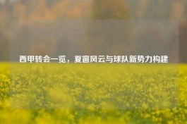 西甲转会一览，夏窗风云与球队新势力构建