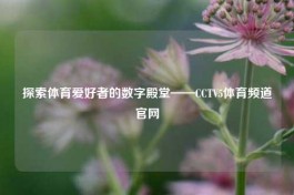 探索体育爱好者的数字殿堂——CCTV5体育频道官网