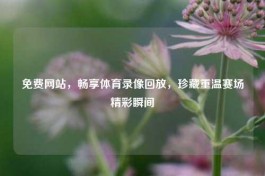 免费网站，畅享体育录像回放，珍藏重温赛场精彩瞬间