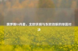 俄罗斯VS丹麦，北欧铁骑与东欧劲旅的绿茵对决