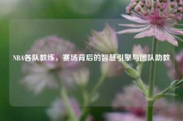 NBA各队教练，赛场背后的智慧引擎与团队助教