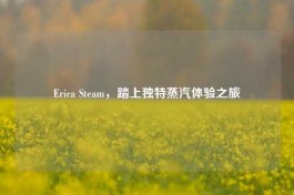 Erica Steam，踏上独特蒸汽体验之旅