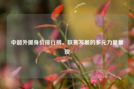 中超外援身价排行榜，联赛发展的多元力量展现