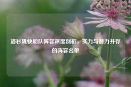 洛杉矶快船队阵容深度剖析，实力与潜力并存的阵容名单