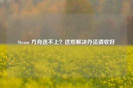 Steam 方舟连不上？这些解决办法请收好