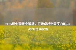PUBG职业配置全解析，打造卓越电竞实力的pubg职业选手配置