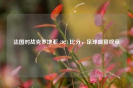 法国对战克罗地亚 2021 比分，足球盛宴终章