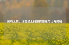 英匈之战，绿茵场上的     碰撞与比分揭晓