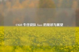 CSGO 牛仔战队 liazz 的现状与展望