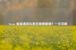 Steam 版雀魂游玩是否需要翻墙？一文详解