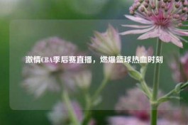      CBA季后赛直播，燃爆篮球热血时刻