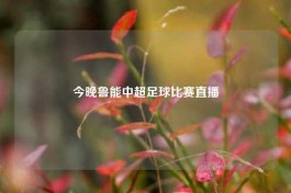 今晚鲁能中超足球比赛直播