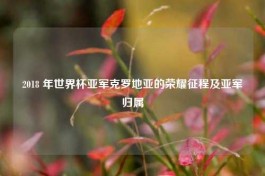 2018 年世界杯亚军克罗地亚的荣耀征程及亚军归属