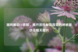 随风解说CF露脸，揭开游戏解说背后的神秘面纱及相关图片